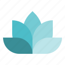lotus